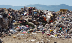İzmir Büyükşehir Belediyesi’ne çevre şoku!