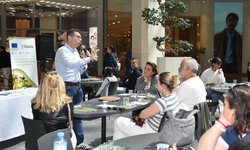 Zeytinyağı tadım etkinlikleriyle tüketici bilinci artıyor