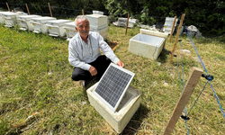 Arı kovanlarına dadanan ayılara elektrik telli önlem
