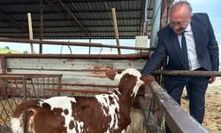 Manisa’da “Tek Dam Projesi” üreticilerle buluşuyor