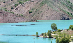 Erzincan’da kayıp gencin cansız bedeni Göyne Barajı’nda bulundu