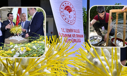 İzmir’de 2 tonluk üretimin 1.4 tonu Beydağ’dan