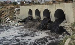 İzmir Körfezi'nin kirliliğinin nedeni Gediz Nehri