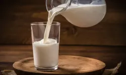 Süt şirketlerine büyük soruşturma geliyor