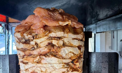 Yüz liraya döner şüphesi