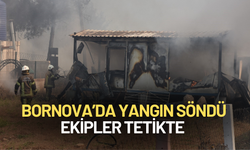 İzmir'de yangın bitmek bilmiyor: Bu kez Bornova Yakaköy alevlere teslim!