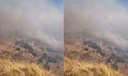 Çiğli Egekent’te orman yangını çıktı