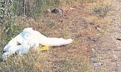Miras kavgası cinayetle bitti: Tornavidayla can aldı