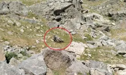 Keşif dönüşü feci kaza: 5 kişi yaşamını yitirdi