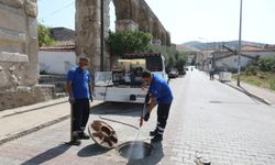 Efes Selçuk’ta ilaçlama seferberliği