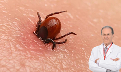 Vücudumuza kene yapıştığında ne yapmalıyız?