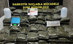 Konak’ta narkotik operasyonu: 126 kilo bonzai ele geçirildi