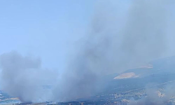 İzmir Kınık'ta orman yangını!