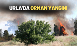 Urla'da orman yangını