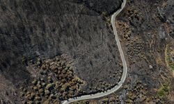 Alevlerin küle çevirdiği Ödemiş köyleri havadan görüntülendi