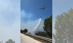 İzmir'de Son Dakika olarak yangın bölgesindeyiz