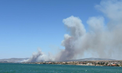 Çeşme yanıyor ama umut yeniden filizleniyor