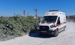 Manavgat’ta kaçan aslan vurularak öldürüldü