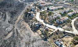 İzmir’deki yangınların hasar tespiti yapıldı
