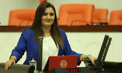 CHP İzmir Milletvekili Sevda Erdan Kılıç'tan çocuk işçi tepkisi