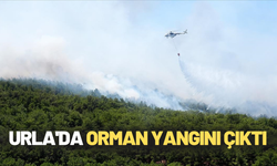 Urla'da orman yangını çıktı
