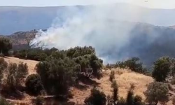 İzmir Kiraz'da orman yangını başladı
