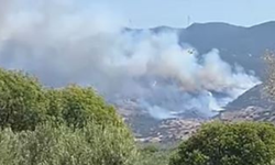 Aliağa’da orman yangını başladı