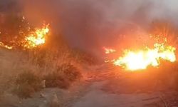 Aydın-İzmir yolunda araç yangını ormana sıçradı