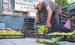 Torbalı’nın bardacık inciri dünyaya açılıyor
