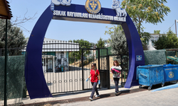 Buca’da 212 sokak hayvanı yeni yuvasına kavuştu