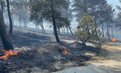Çanakkale’de tarla yangını villalara sıçradı