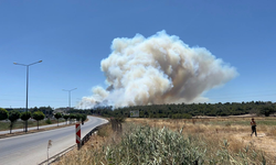 Çanakkale'deki yangında vatandaşlar tahliye ediliyor