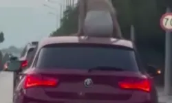 Çeşme’de trafikte tehlikeli dans!