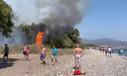 Muğla Fethiye’de orman yangını