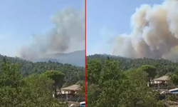 Çanakkale Gelibolu’da orman yangını! Müdahale sürüyor