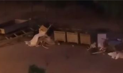 Karabağlar'da çöp sorunu bitmiyor