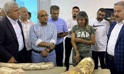 Kayseri’de 7,5 milyon yıllık fosiller tanıtıldı