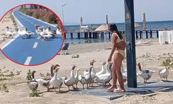Denize girmeleri yasaklanan kazlara şartlı özgürlük