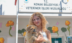 Konak’ın patili dostları ömürlük yuva bekliyor