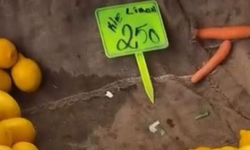Çeşme Ilıca Pazarı’nda limonun fiyatı el yaktı