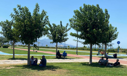 İzmir’de ölüm oranı yüzde 55 arttı: Uzmandan “sıcaklık” uyarısı