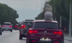 Çeşme'de otomobil sunroofunda dans eden kadına ceza