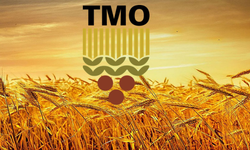 TMO’nun ithalat alımları için usul ve esaslar belirlendi