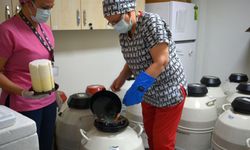 Türkiye’nin ilk tüp bebek merkezi 37 yıldır anne baba olma hayalini gerçekleştiriyor