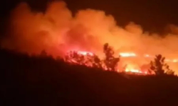 İzmir Urla’daki orman yangınına havadan destek