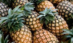 Ananasın gizli hazinesi: Bromelain sağlığa destek oluyor