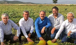 Acıpayam Kavunu Resmen Tescillendi