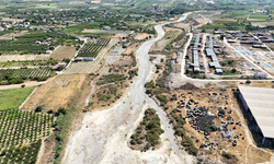 Gediz Nehri kuruma noktasında: Çiftçiler tarlasını sulayamıyor