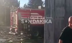 Seyhan Mahallesi’ndeki yangına ekipler dört bir yandan müdahale etti