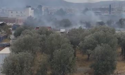 Bornova’da otluk alanda yangın paniği